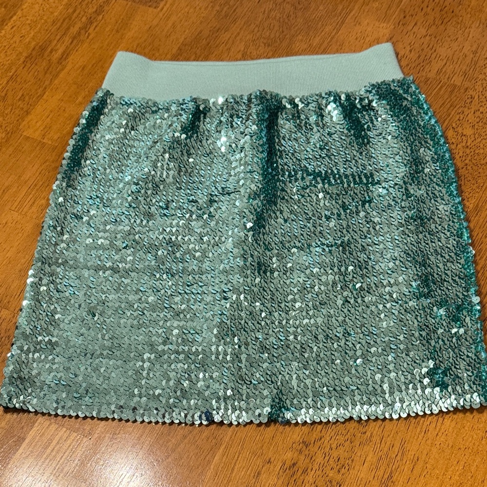 Sequin Mini Skirt in Mint Green—size medium
